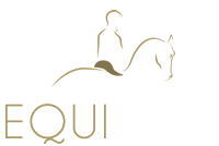 Equiphys
